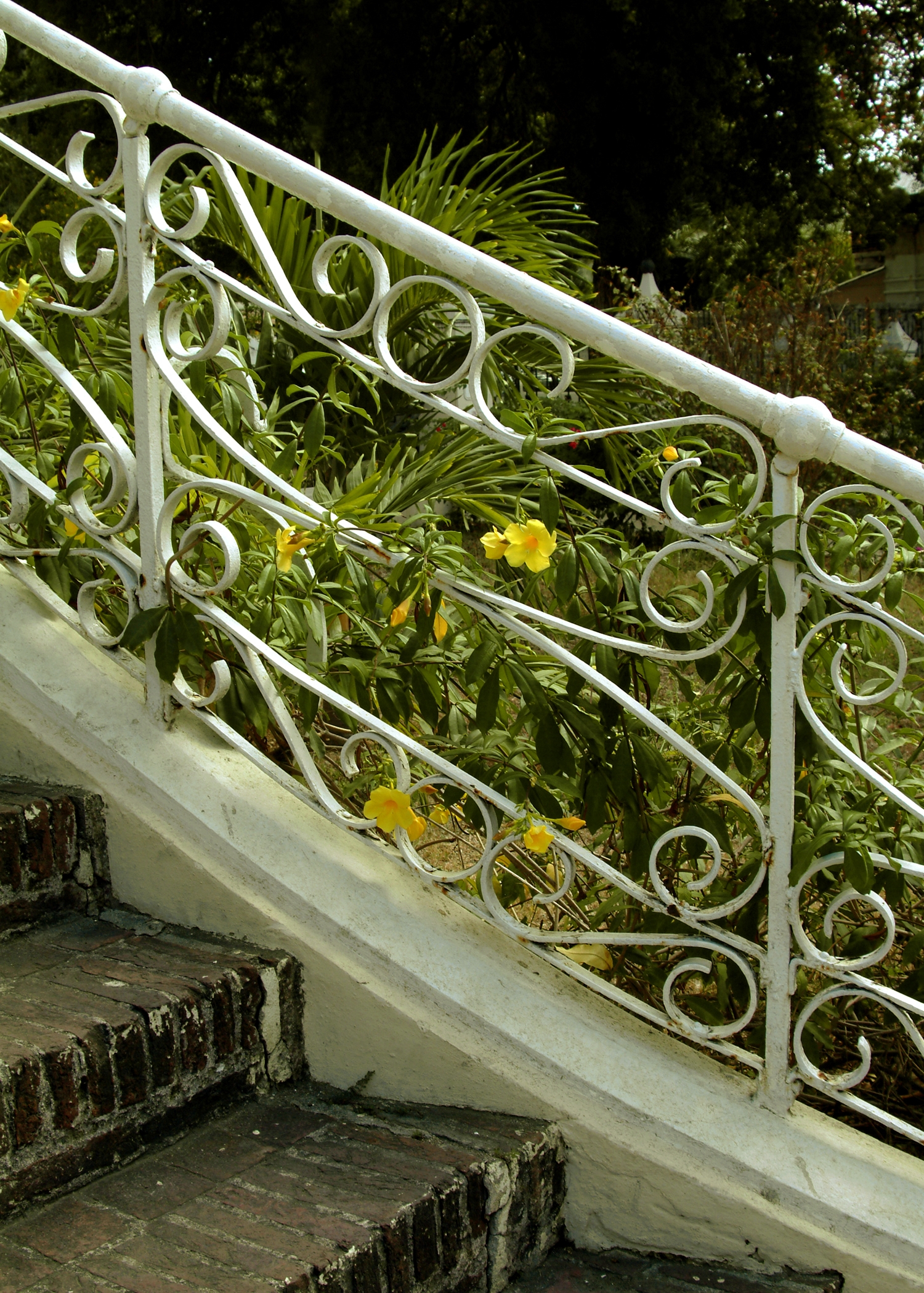 Silver Railing by Georgia Sheron